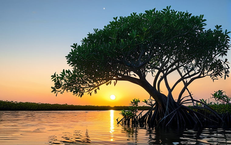 Prompt 1: Serene Mangrove Ecosystem at Sunset**