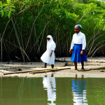 **

"A group of local villagers participating in a mangrove tree planting event, fully clothed in appropriate attire, working together in a sunny coastal environment, safe for work, perfect anatomy, natural proportions, community engagement, professional photography, high quality, modest clothing, family-friendly, sustainable development."

**