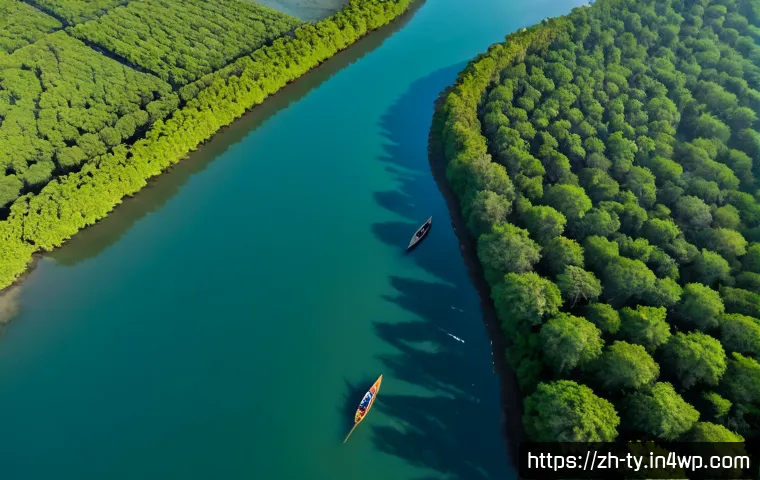 맹그로브 보존을 위한 기후 변화 대응 전략 - Photorealistic aerial view of a thriving mangrove restoration coastline, dense young mangrove trees ...
