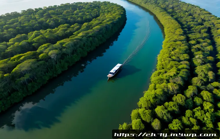 맹그로브 생태계의 법적 보호 기준 - Photorealistic aerial view of a protected mangrove ecosystem at golden sunrise, dense green mangrove...